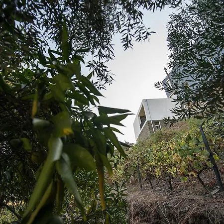 Maison d'hôtes Casa Foz Do Corgo Peso da Régua