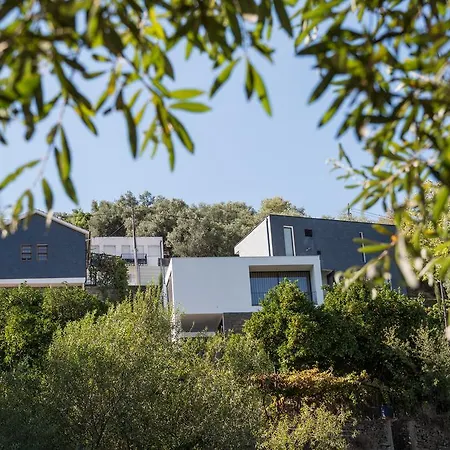 Casa Foz Do Corgo Maison d'hôtes *