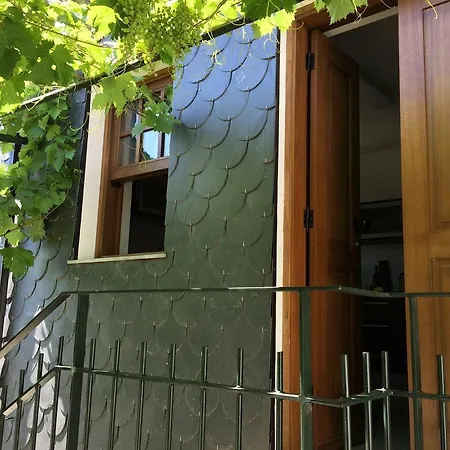 Casa Foz Do Corgo Maison d'hôtes *